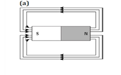 A student learns that magnetic field strength around a bar magnet is different at every point. Which diagram shows the correct magnetic field lines around a bar magnet?